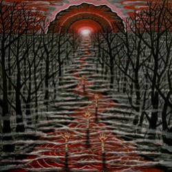 Lesser Traveled Waters